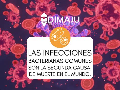 Las Infecciones Bacterianas Comunes Son La Segunda Causa De Muerte En