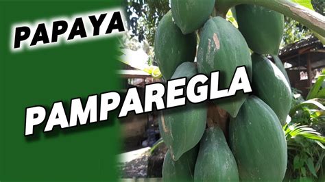 Pampalaglag Pangpalaglag Pamparegla Pangparegla Quiapo Botika Herbal