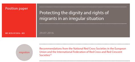 Report Protecting The Dignity And Rights Of Migrants In An Irregular