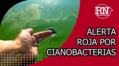 Alerta Roja Por Cianobacterias En Lagunas YouTube