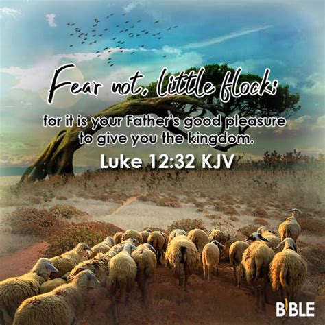 Luke 12 32 Bible Verse Of The Day Biblemeal