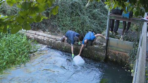 El origen del brote de gastroenteritis detectado en Tarazona está en