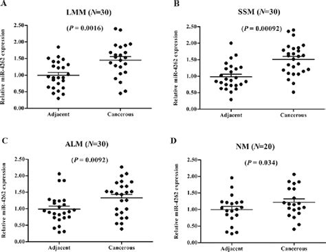 Figure From Mir Promotes The Proliferation Of Human Cutaneous