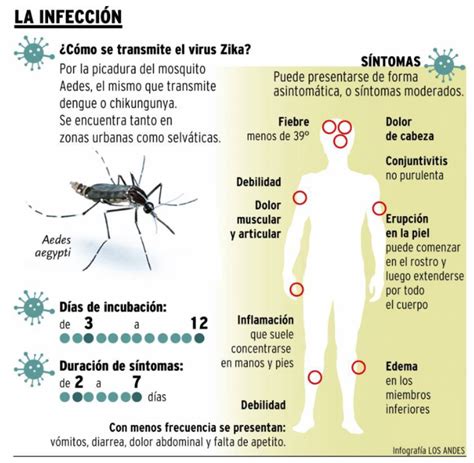 Infograf A Virus Zika Qu Deber As Saber