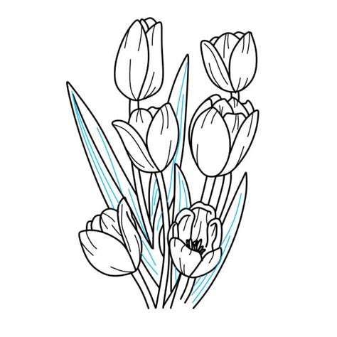 Cách Vẽ Hoa Tulip Htnc