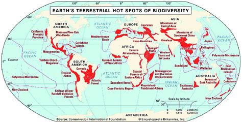 Biodiversity Hotspots in the world | Download Scientific Diagram