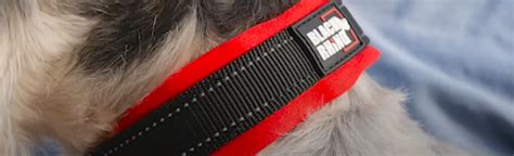 8 Best Dog Collars for Sensitive Skin/Neck [June 2023] - DoggoMag