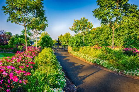 Explore the Creation Museum’s Stunning Botanical Gardens from Your Own ...