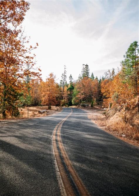 Adventures In Bass Lake California Salt Wind Travel