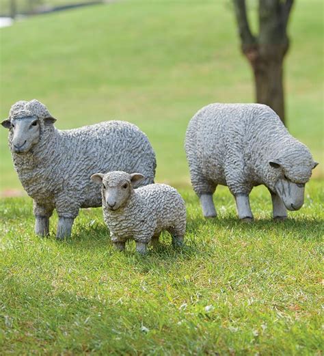 Sheep Garden Statue - Garden Design Ideas