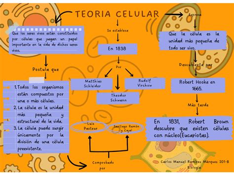 Mapa Conceptual De La Teoria Celular Esquemas Y Mapas Conceptuales De