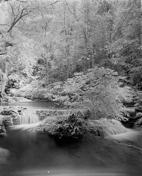 Rollei Infrared : r/analog_bw