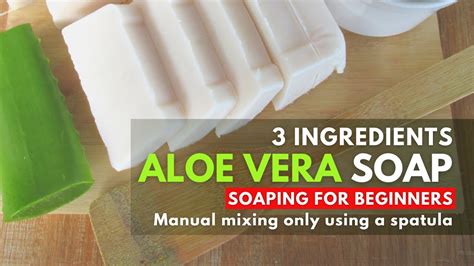 Aloe Vera Soap Recipe At Ina Timmer Blog