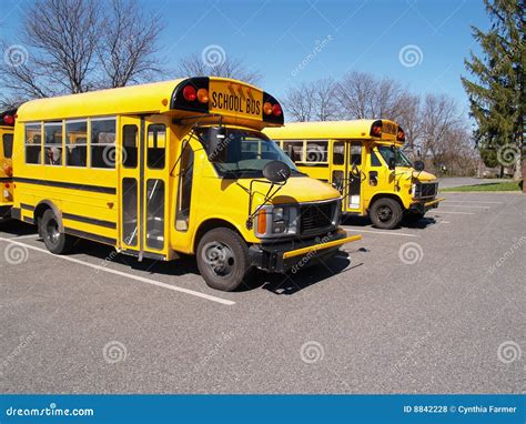 Two Yellow School Buses Royalty Free Stock Photos - Image: 8842228