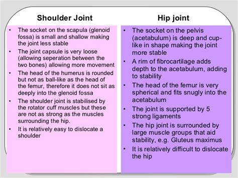 Hip Vs Shoulder Joint Shoulder Joint Joint Musculoskeletal System