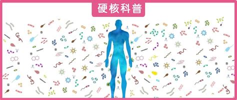 人类的免疫系统是怎么应对细菌和病毒的？ 知乎