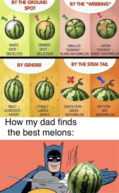 How Dad Finds Melons R Wholesomememes Wholesome Memes Know Your Meme