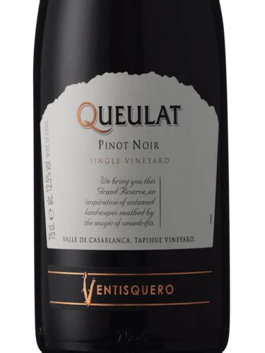 Ventisquero Queulat Gran Reserva Pinot Noir Vivino Brasil