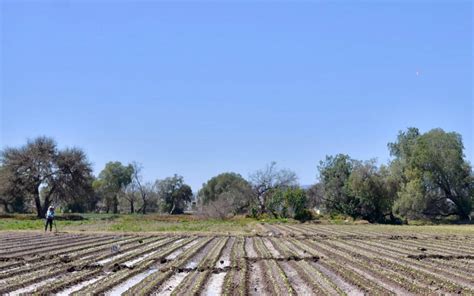 Agricultores Ind Genas Los M S Afectados Por La Sequ A En La Huasteca