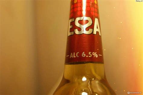 Обзор пива эсса