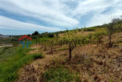 Terreno Verde Agricolo Contrada Scirocco