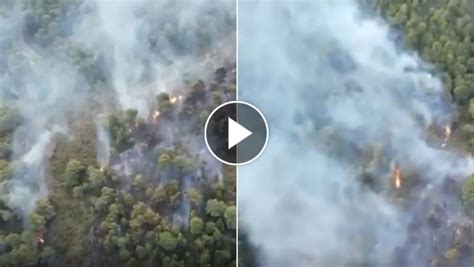 Incendio A Vieste Fiamme Nel Bosco Di Baia San Felice La