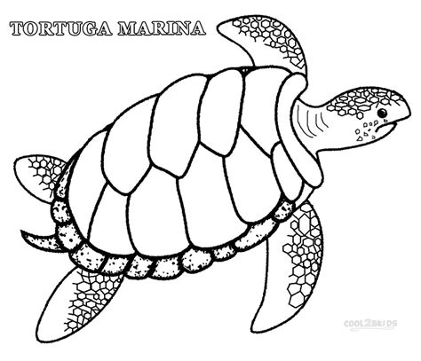 Dibujos De Tortuga Marina Para Colorear Páginas Para Imprimir Gratis