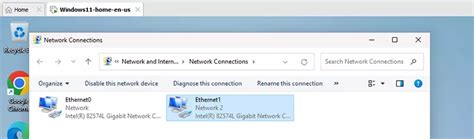 Which Network Connection Type Should I Choose In Vmware
