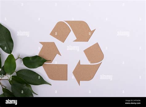 Recycling Symbol And Plant Leaves On A White Background Stock Photo Alamy