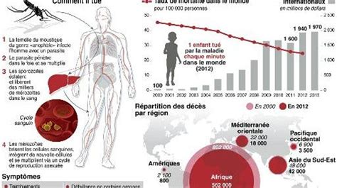 Paludisme Le Royaume Uni Et Bill Gates Annoncent Un Plan