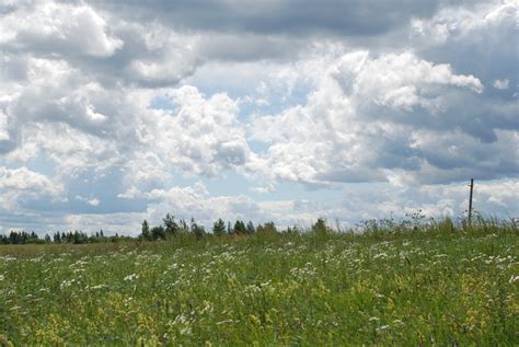 Free Images Field Grassland Sky Natural Landscape Meadow Cloud