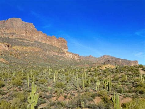 The Desert Is Full Of Cactus Trees And Tall Mountains In The Distance