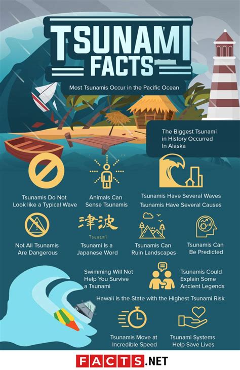 15 wichtigsten Fakten zum Tsunami Definition Ursachen Überleben