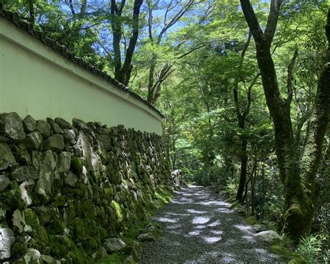 復旧工事が始まりました。 世界遺産高山寺｜明恵上人と鳥獣戯画のお寺、被災からの復興にご支援を（高山寺 20230528 投稿