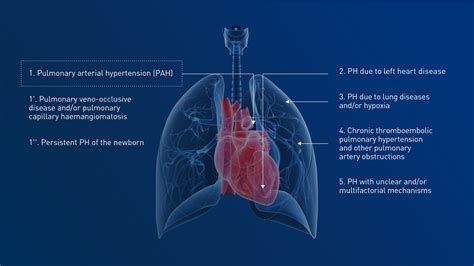 Understand Pah