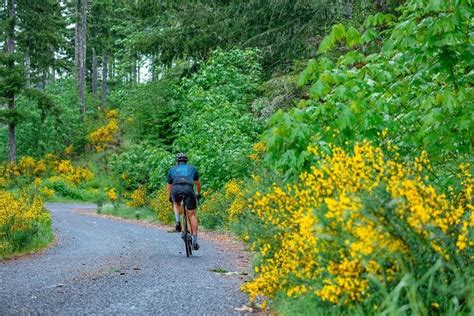 Oregon Gran Fondo Bohemia Park Cottage Grove 3 June 2023