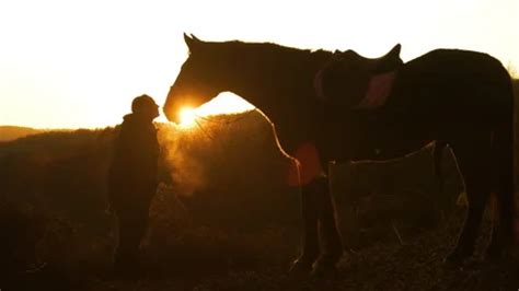 SILHOUETTE LENS FLARE Golden Sunbeams Stock Video Pond5