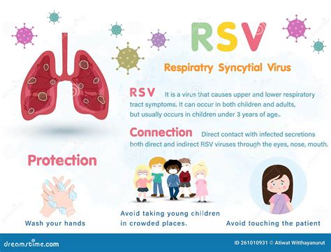 RSV Respiratory Syncytial Virus Infographic Medical Illustration Stock