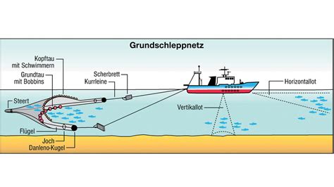 Antwort Wie Funktionieren Grundschleppnetze Weitere Antworten Sind