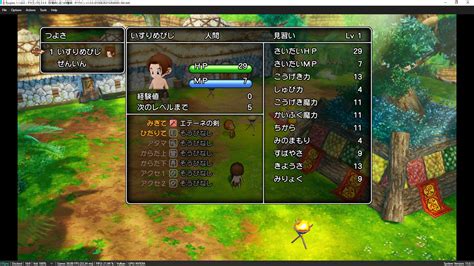 Dragon Quest X Awakening Five Races Offline E E E Issue