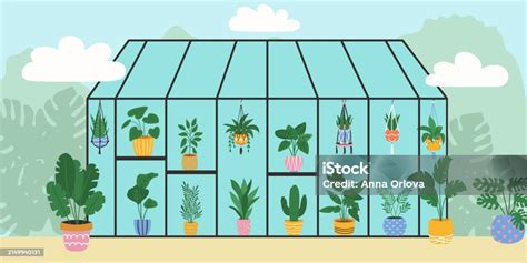 Botanical Garden With Plants In Stylish Planters And Pots Vector