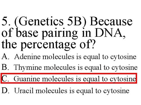 Chapter 12 DNA And RNA 21 Base Pairing