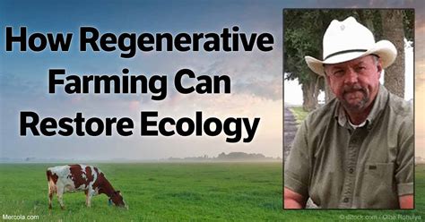 How Regenerative Farming Methods Can Restore Ecology