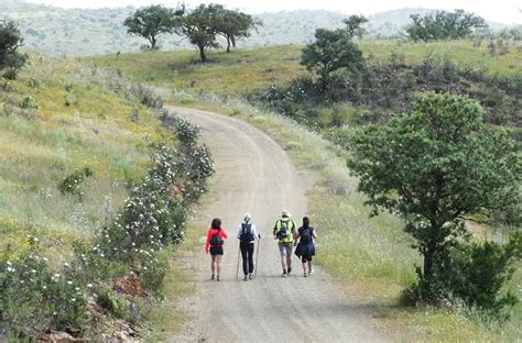 Ert Alentejo E Ribatejo Deseja Rede Completa Dos Caminhos De Santiago