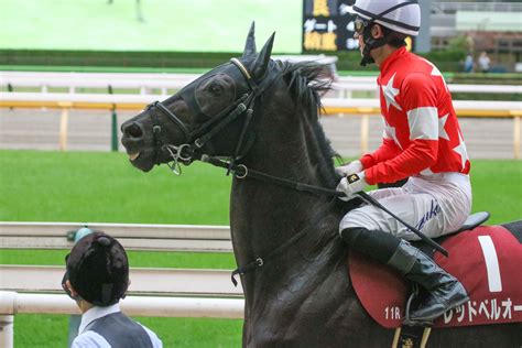 小倉大賞典 馬場、天気、展開波乱の要素が満載のハンデ重賞。 重賞プレビュー ウマフリ 競馬コラム＆ニュース