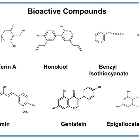 Structures Of Bioactive Compounds We Discuss The Anti Cancer