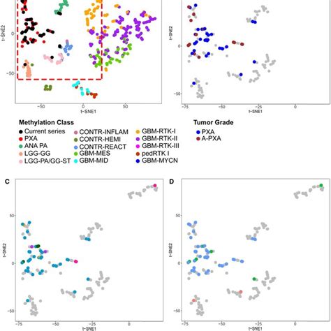 Genomic Analysis Of Matched Primary And Recurrent Tumors A Genomic