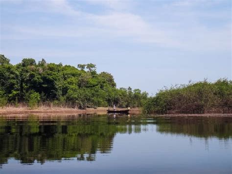 Passeios Em Manaus Os Melhores Para Você Curtir O Amazonas