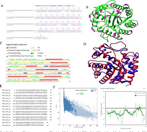 Figure From Molecular Insight Into Aspergillus Oryzae Mannanase