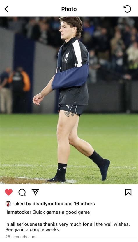 Stocker injury update : r/CarltonBlues